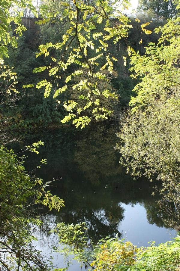 Appartamento Les Milahinas Lescure-dʼAlbigeois Esterno foto