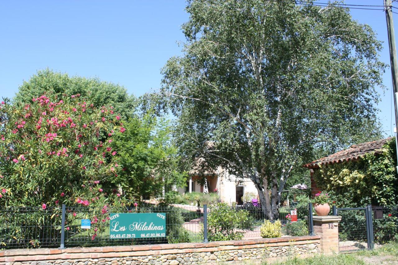 Appartamento Les Milahinas Lescure-dʼAlbigeois Esterno foto